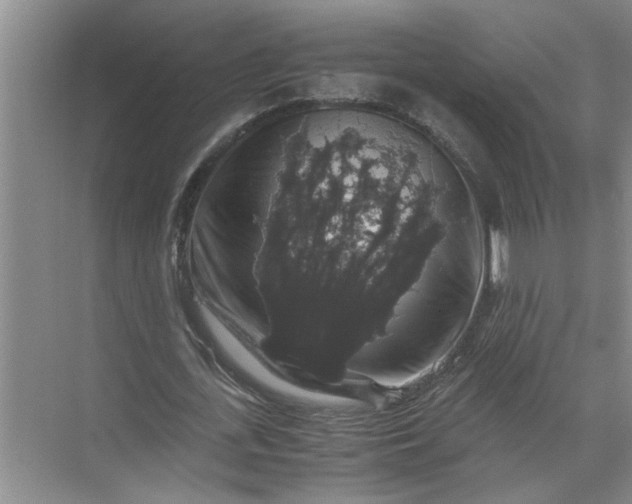 X0000071780723200607150054