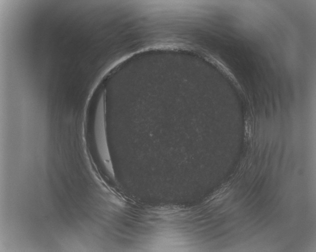 X0000071780724200607150054