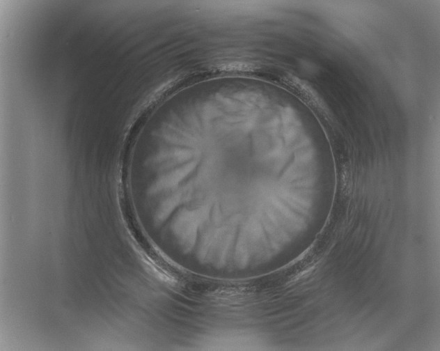 X0000071780725200607150054