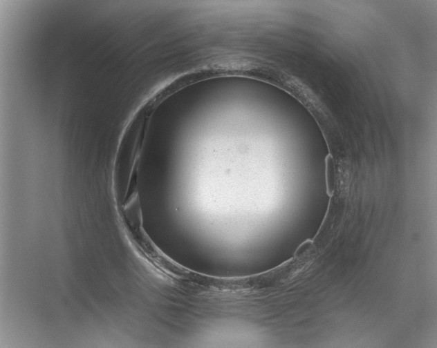 X0000071780726200607150054