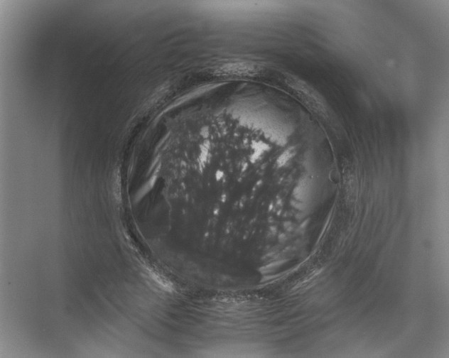 X0000071780729200607150054