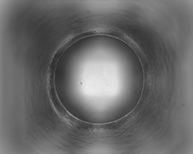 X0000071780730200607150054