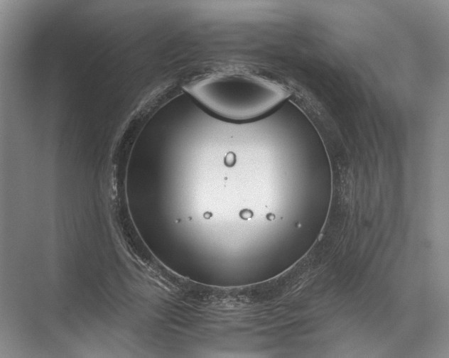 X0000071780731200607150054