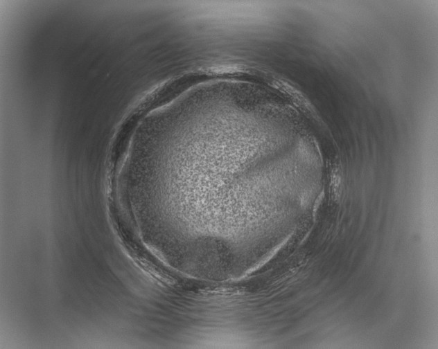 X0000071780732200607150054