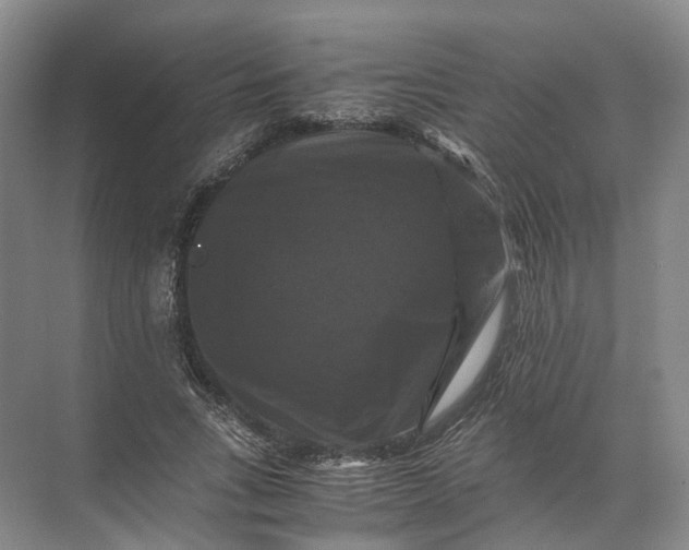 X0000071780735200607150054