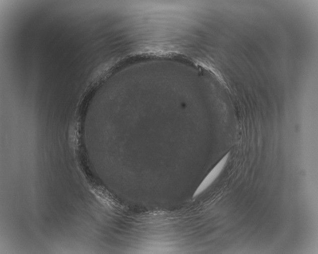 X0000071780736200607150054