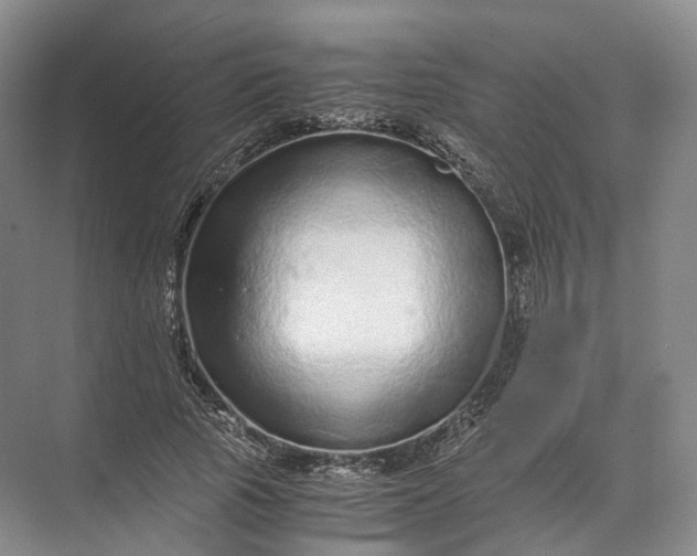 X0000071780737200607150054