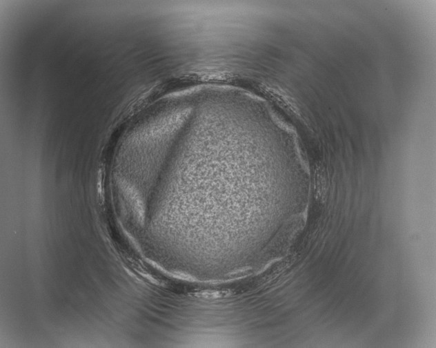 X0000071780740200607150054