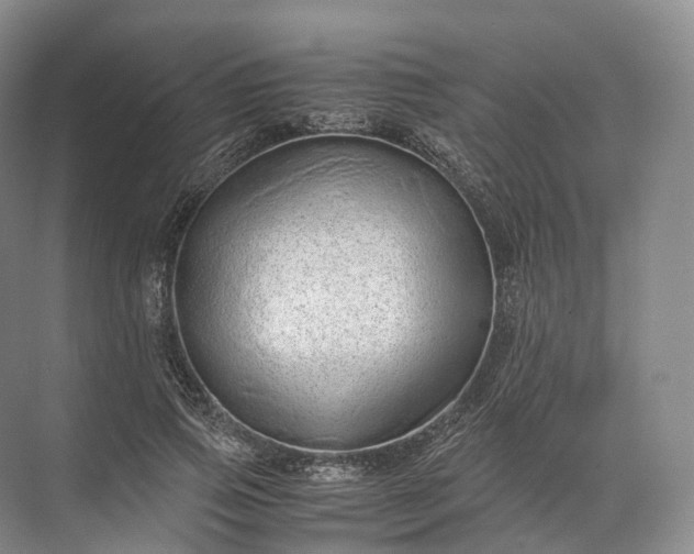 X0000071780741200607150054