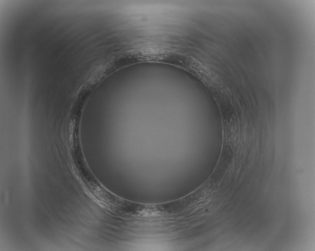 X0000071780742200607150054