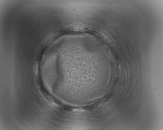 X0000071780744200607150054