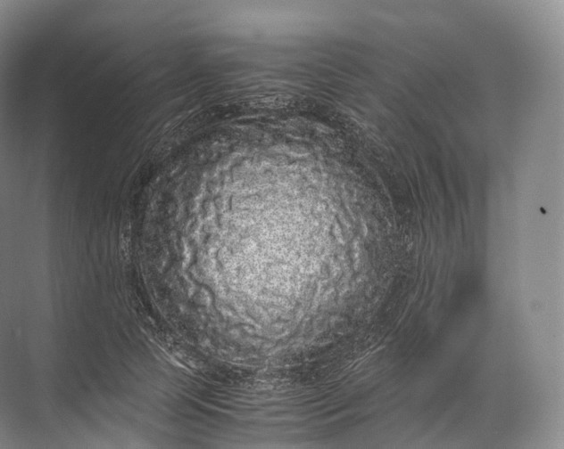 X0000071780745200607150054