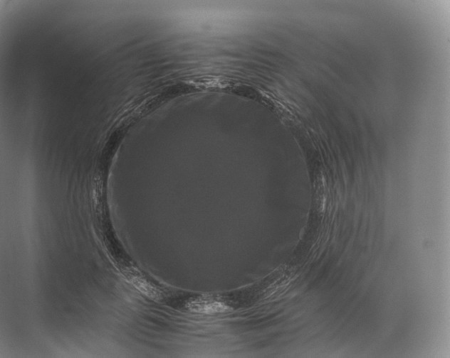 X0000071780747200607150054