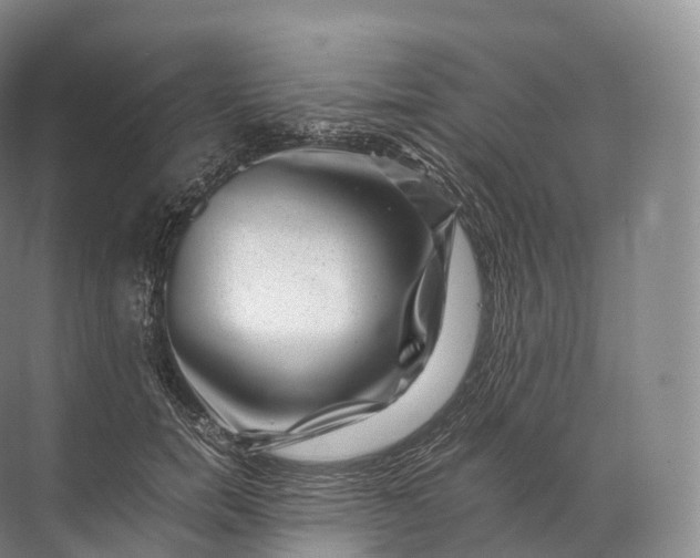 X0000071780750200607150054