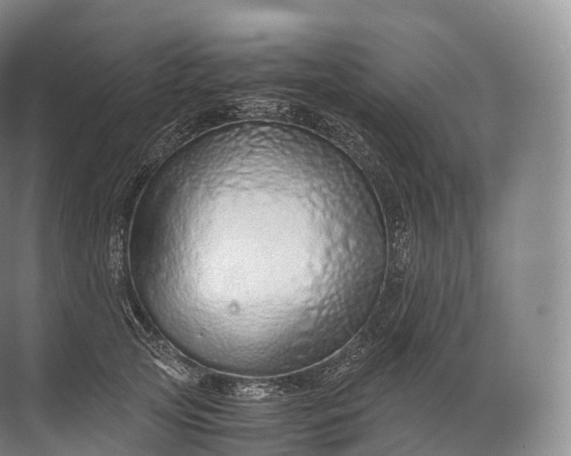 X0000071780753200607150054