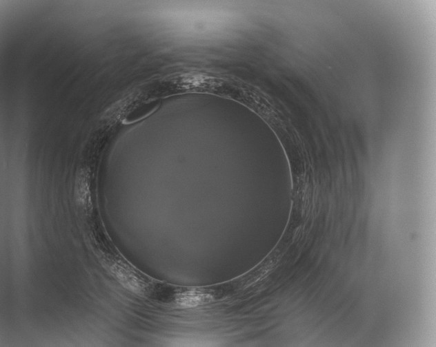 X0000071780754200607150054