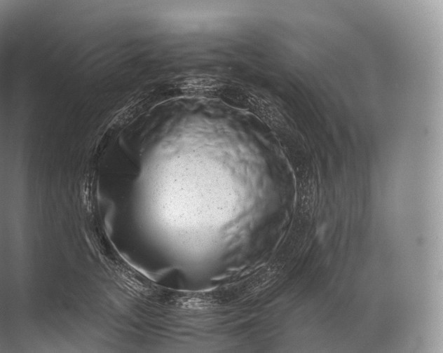 X0000071780755200607150054