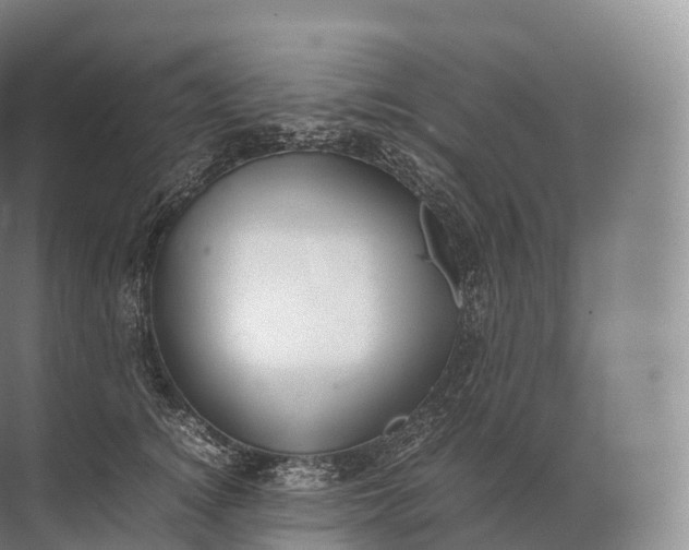 X0000071780756200607150054