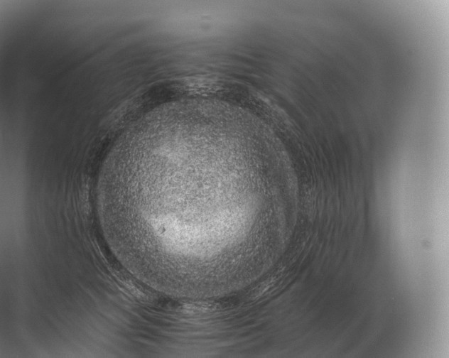 X0000071780757200607150054