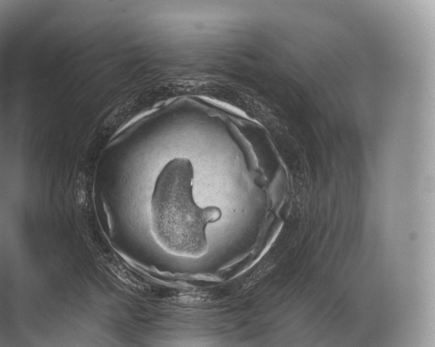 X0000071780758200607150054