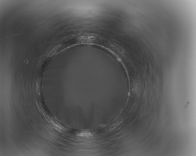 X0000071780759200607150055