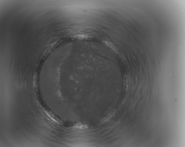 X0000071780760200607150055