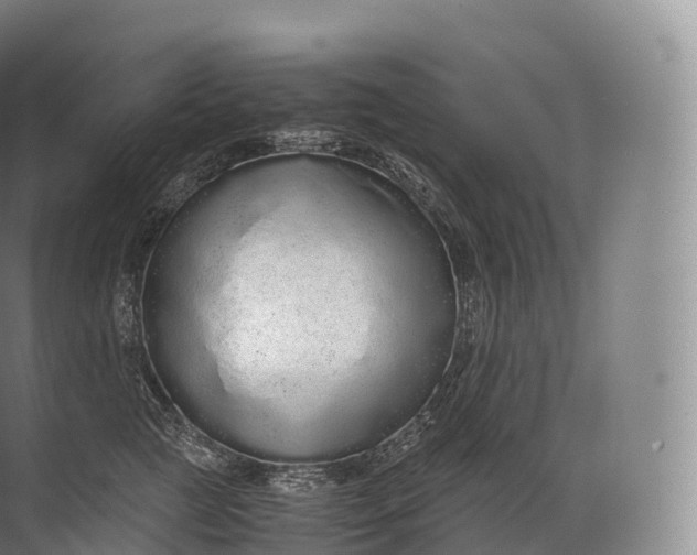 X0000071780761200607150055