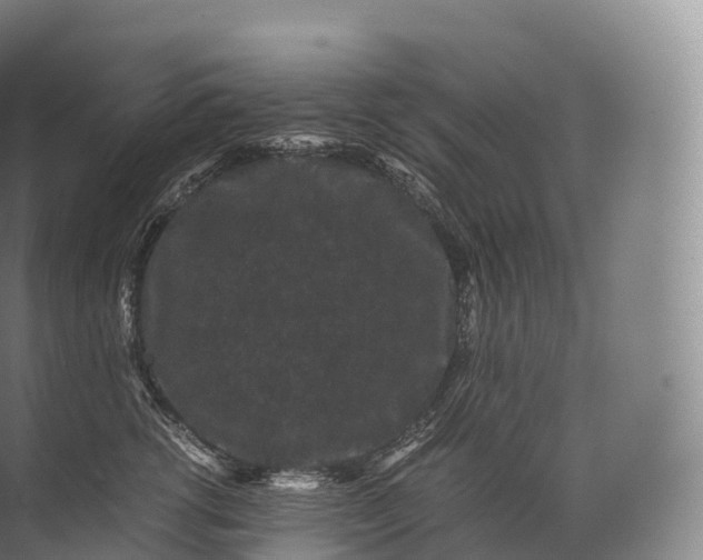 X0000071780762200607150055