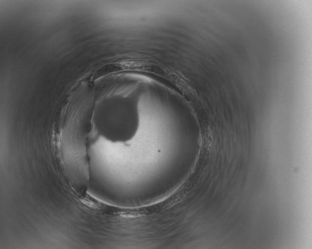 X0000071780763200607150055