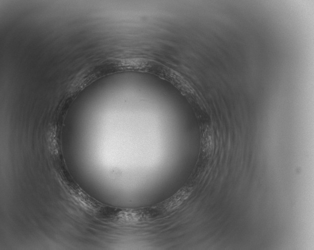 X0000071780764200607150055