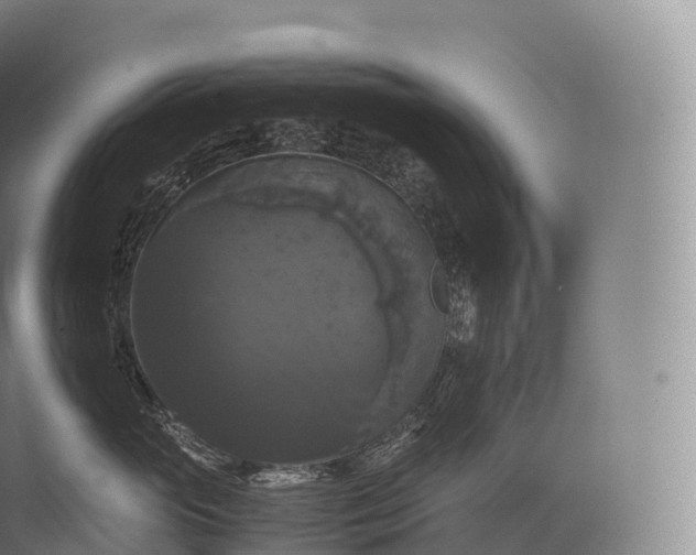 X0000071780765200607150055