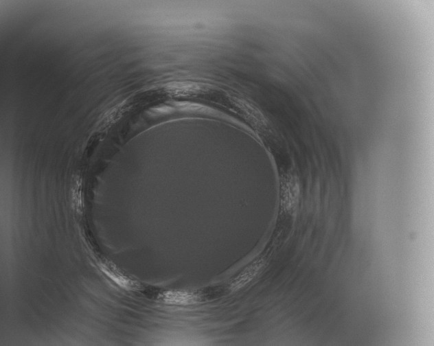 X0000071780766200607150055