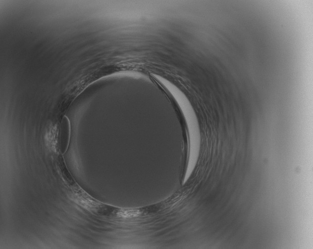 X0000071780767200607150055