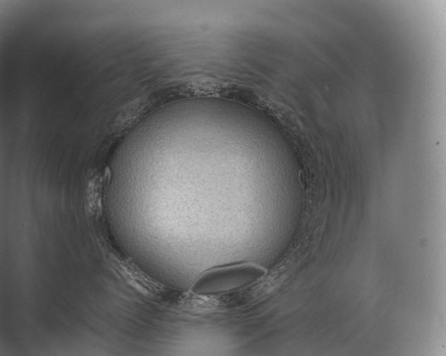 X0000071780768200607150055