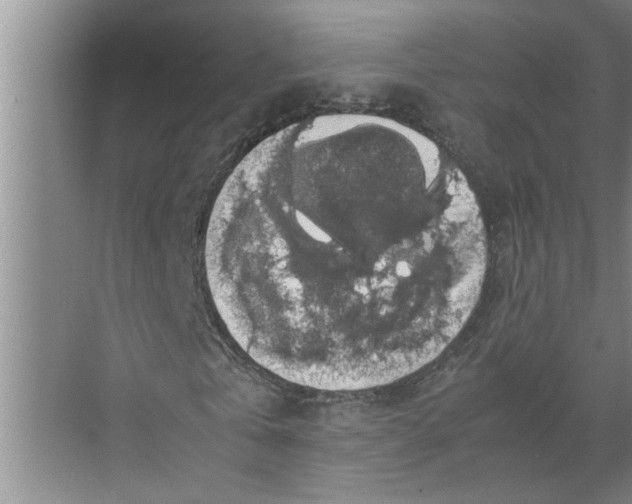 X0000071780769200607150054