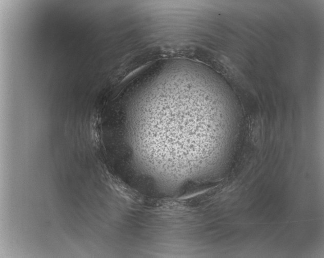 X0000071780770200607150054