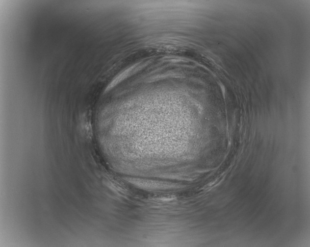 X0000071780771200607150054