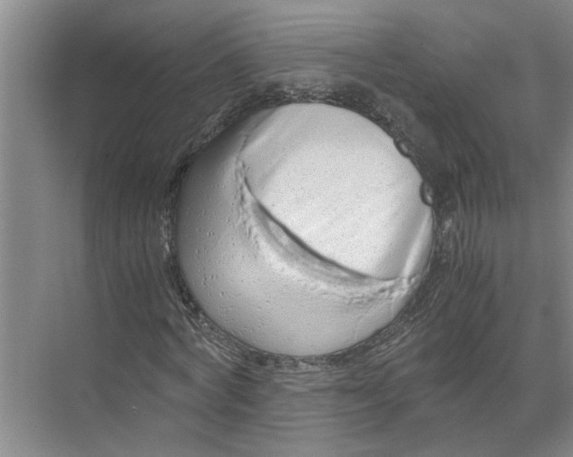 X0000071780772200607150054