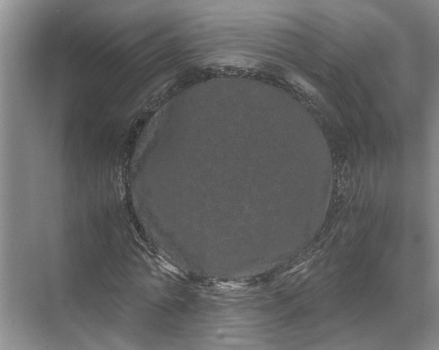 X0000071780774200607150054