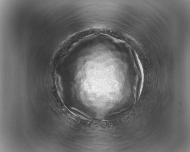 X0000071780776200607150054