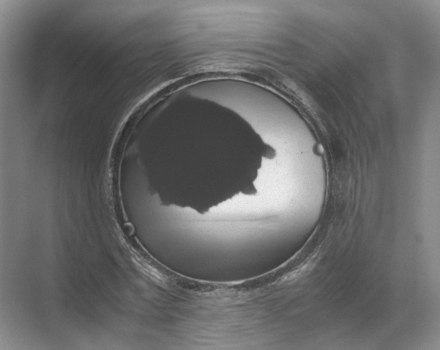 X0000071780779200607150054