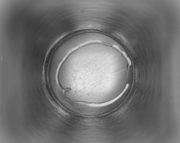 X0000071780780200607150054