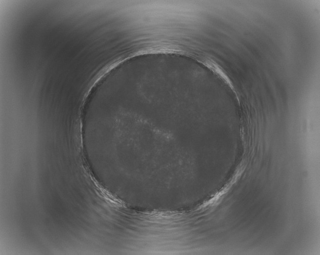 X0000071780781200607150054