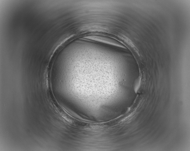 X0000071780782200607150054