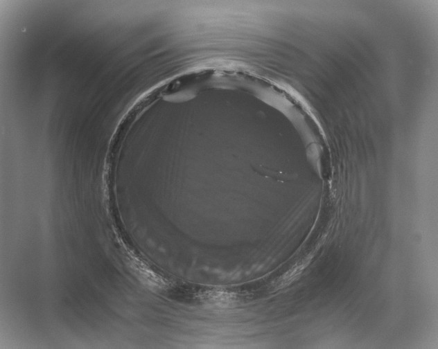 X0000071780783200607150054