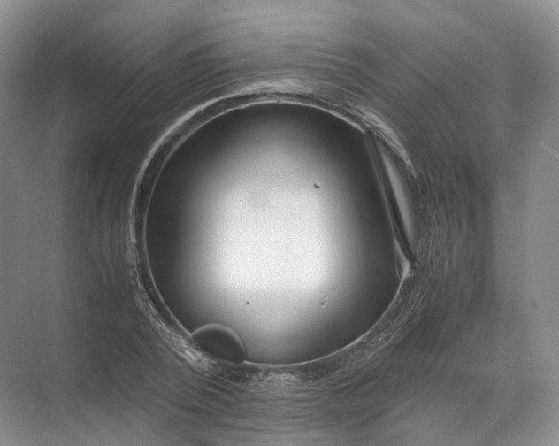 X0000071780784200607150054