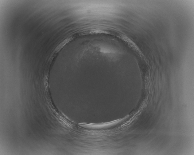 X0000071780785200607150054