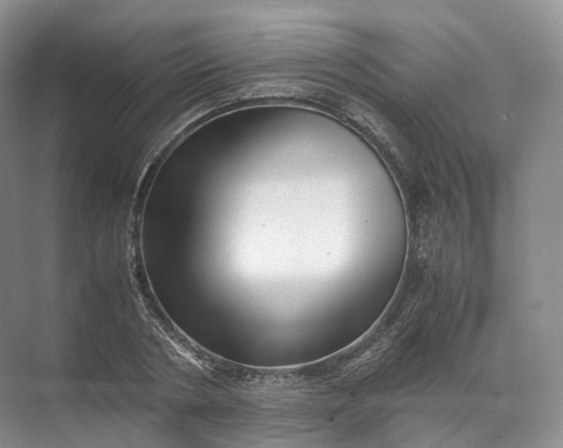 X0000071780786200607150054