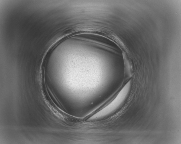 X0000071780787200607150054