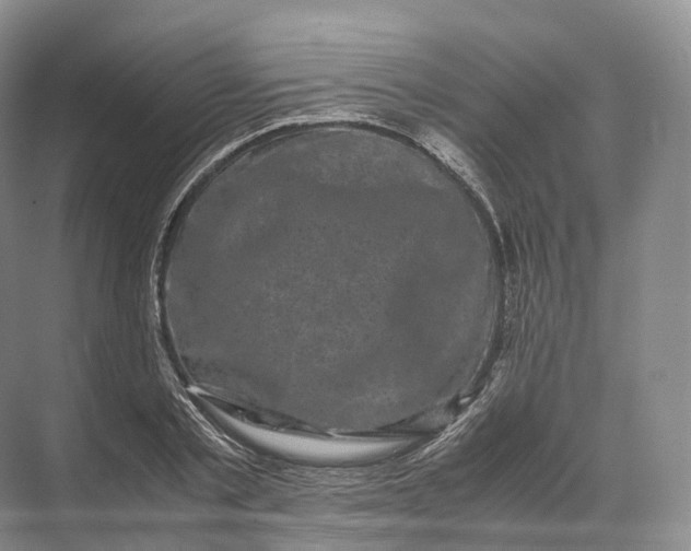 X0000071780789200607150054